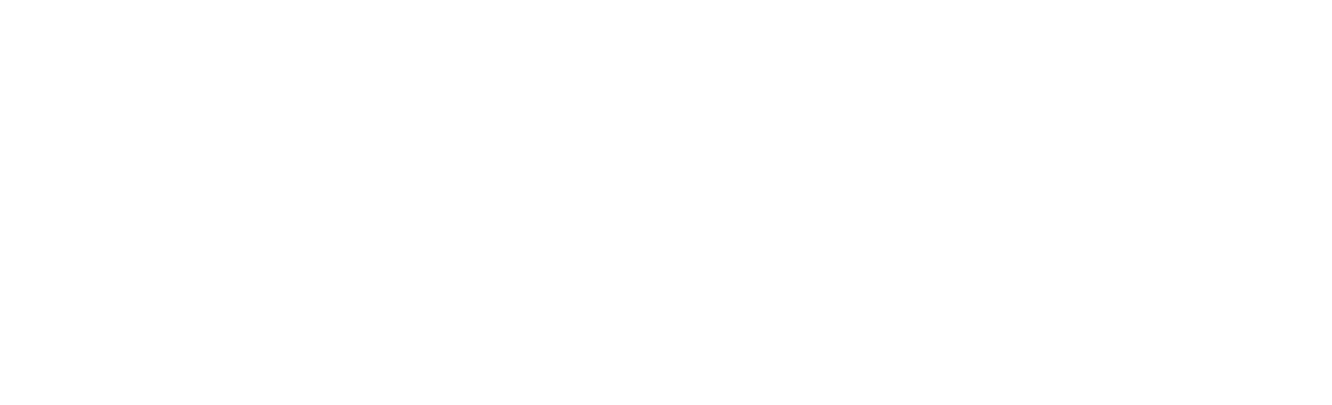 Elsit